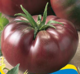 Tomate Noire de Crimee