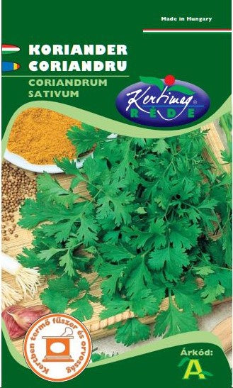 Coriandru / Coriandrum sativum