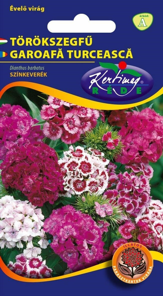 Dianthus barbatus / Garoafă turcească inalta