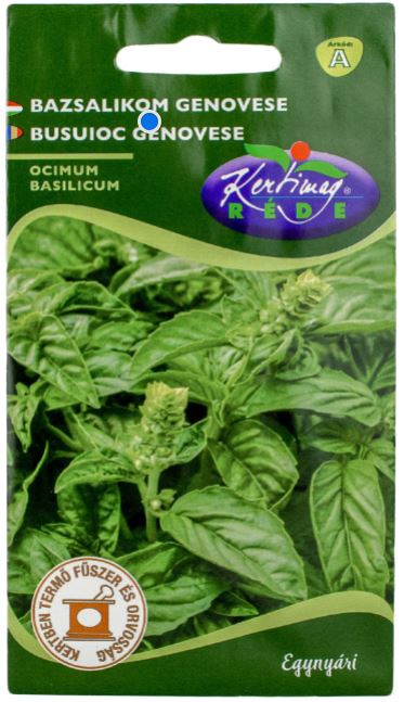 Seminte Busuioc Verde / Ocimum basilicum