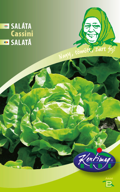 Seminte de Salata Cassini