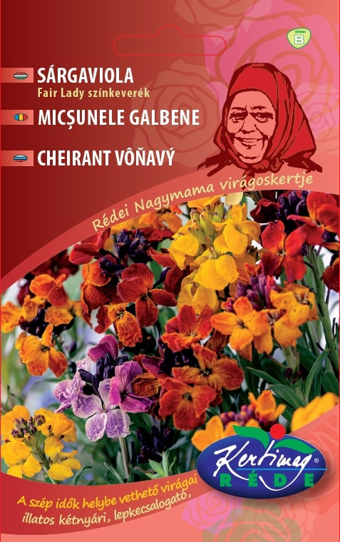 451 Micșunele galbene Fair Lady / Cheiranthus cheiri