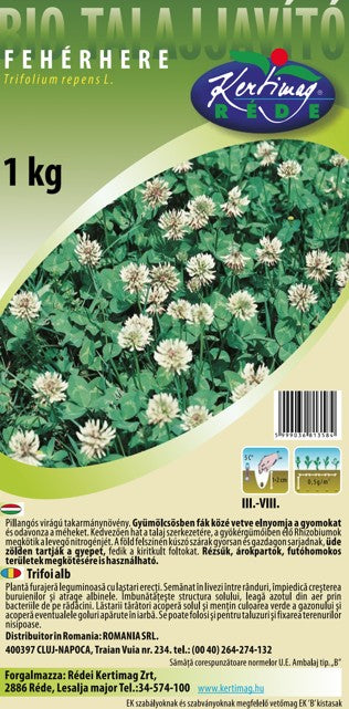 Trifoi alb/Trifolium repers