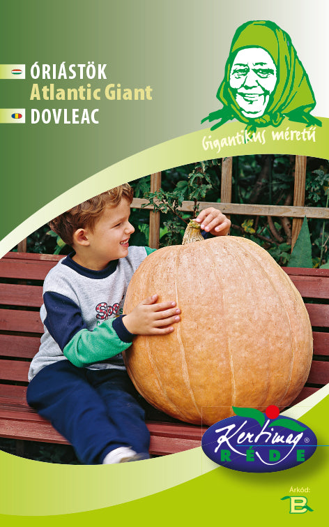 Seminte dovleac Atlantic Giant