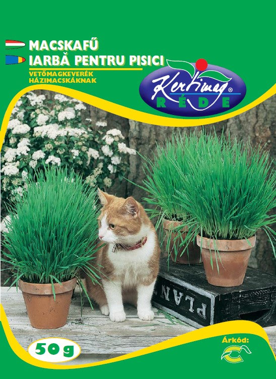 Iarbă pentru pisici