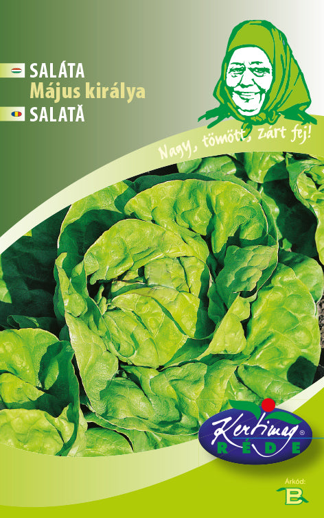 Seminte de Salata May King