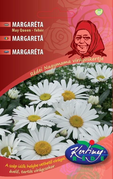 452 Margarete May Queen / Leucanthemum