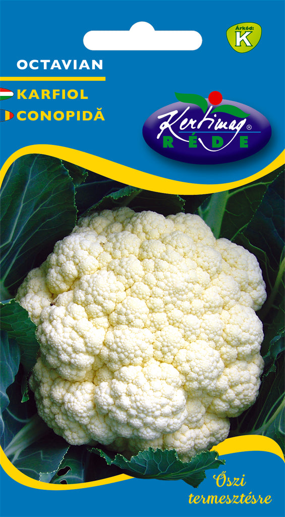 Conopida Octavian