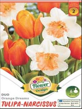 327 Duo Lalele-Narcise / Duo Tulipa-Narcissus  Orange Dreams /6/
