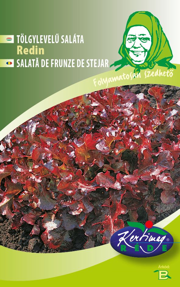 Seminte de Salata Redin