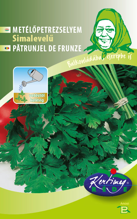 Pătrunjel frunze Plain leaved