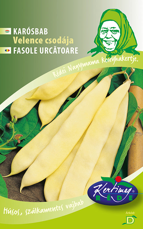 Seminte Fasole urcatoare Meraviglia di Venezia