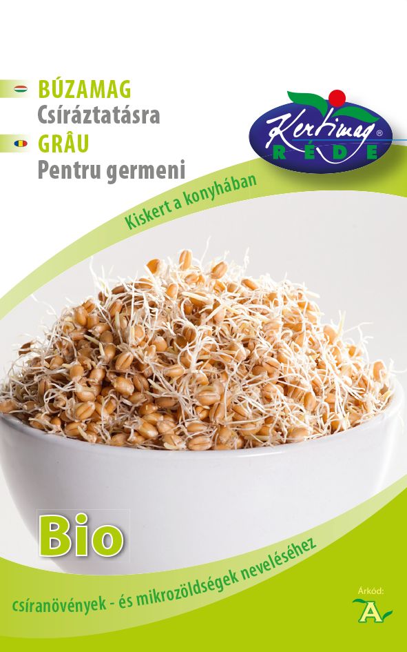 Grâu BIO pentru germeni / Triticum aestivum