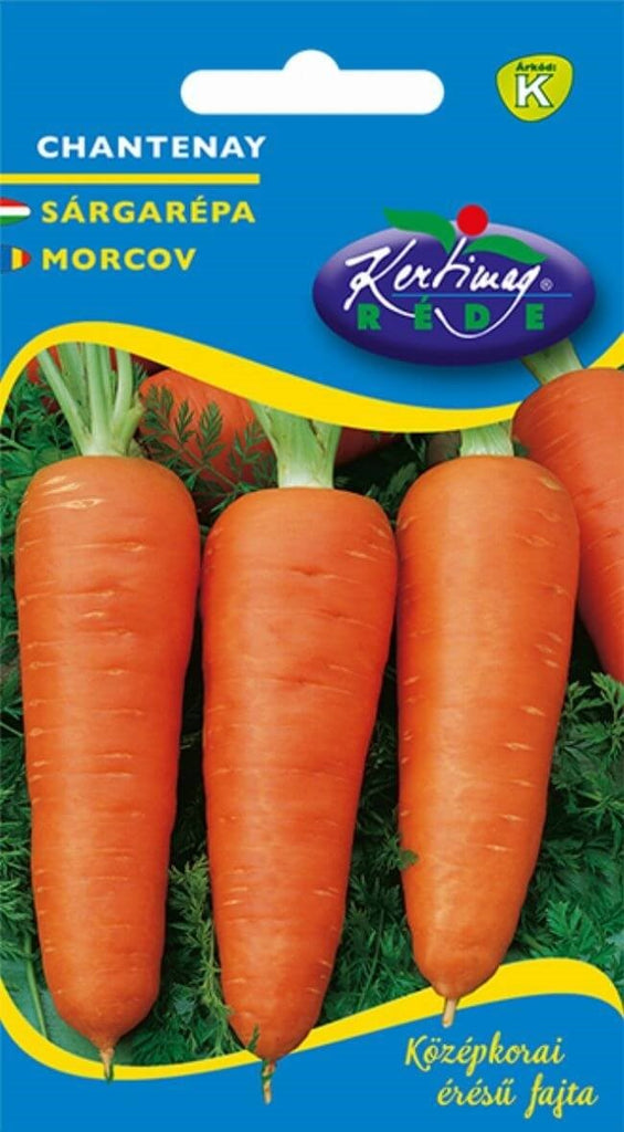 Seminte morcovi Chantenay