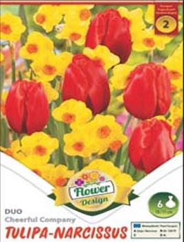 326 Duo Lalele-Narcise / Duo Tulipa-Narcissus  Cheerful Company /6/