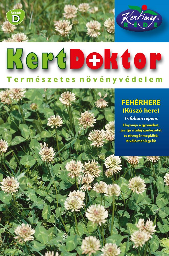 Trifoi alb (Trifolium repens)