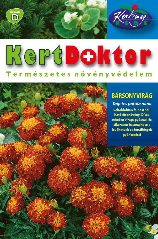 Seminte Craite pitice (Tagetes patula nana)