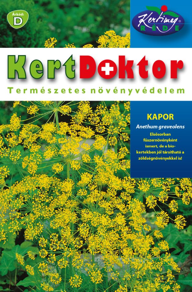 Seminte Marar (Anethum graveolens)