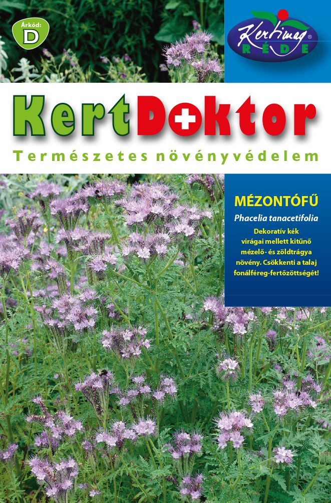 Semințe de Facelia (Phacelia tanacetifolia)