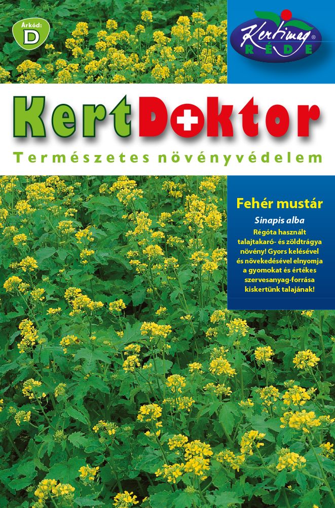 Muştar (Sinapis alba)