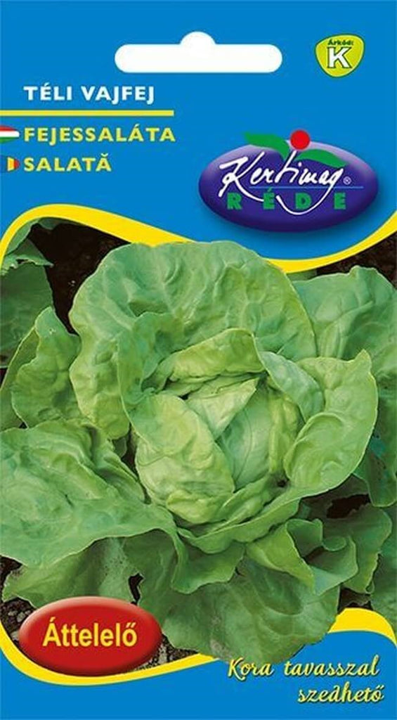 Seminte de Salata Winter Butterkopf