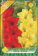 Sticky Image