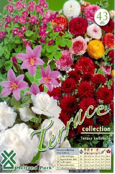 Collection Terrace / Colecţie balcon/43/