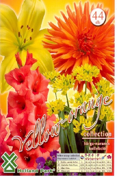 Collection Yellow-Orange/44/