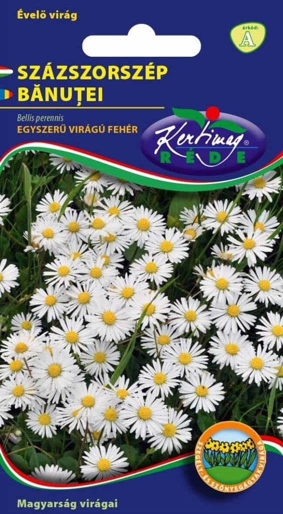 412 Seminte Banutei simplii albi / Bellis perennis