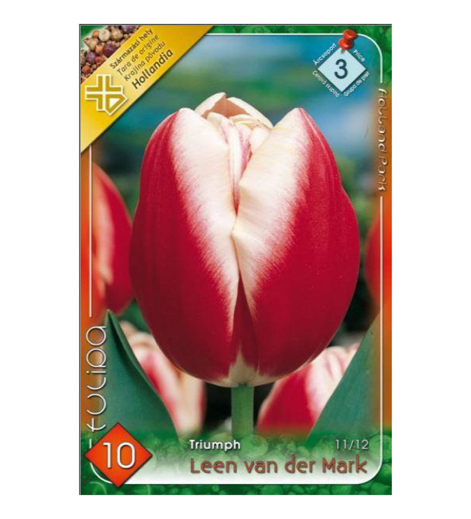Lalele/ Tulipa triumph Leen van der Mark /10/