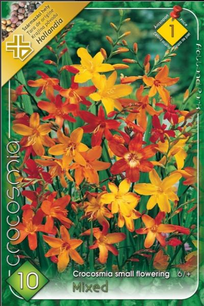 Crocosmia  /10/