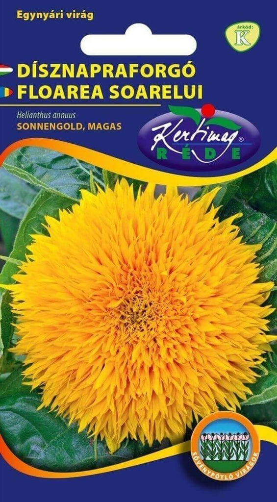 Seminte floarea soarelui decorativa Sonnengold inalt / Helianthus annuus