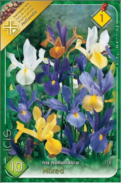 Iris hollandica mixed /10/