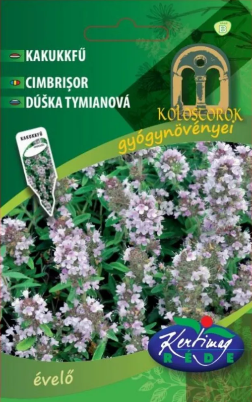 Cimbrișor / Thymus vulgaris