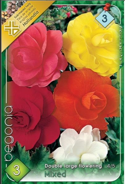 Begonia double large flowering mix /3/