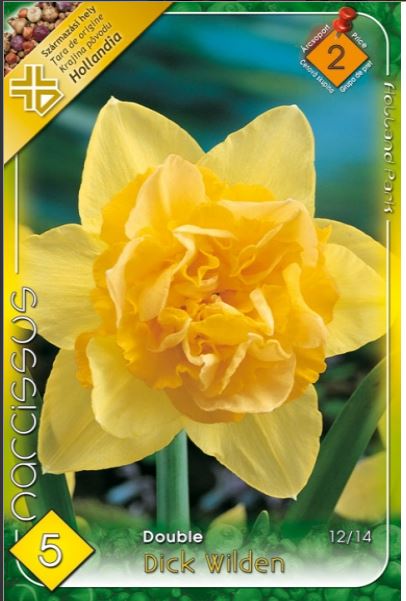 Narcise/ Narcissus Dick Wilden /5/
