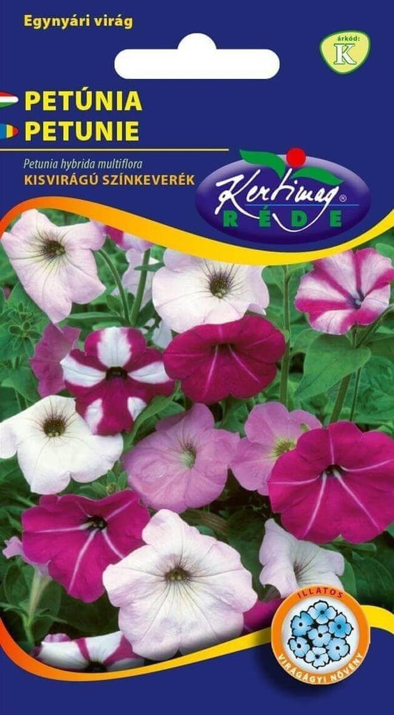 Petunia hybrida / Petunie / Multiflora cu flori mici