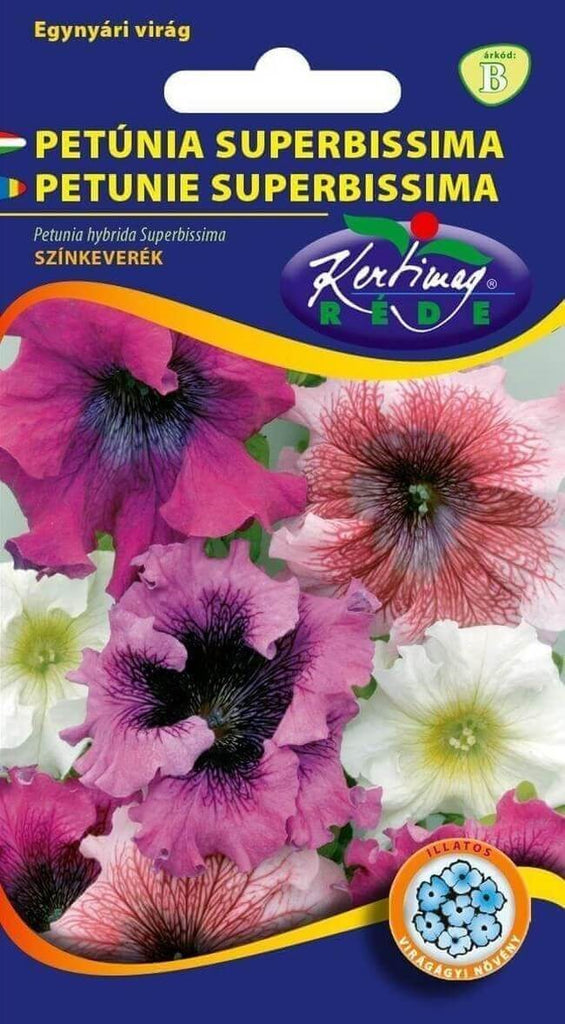 Petunia hybrida / Petunie / Superbissima cu flori mari