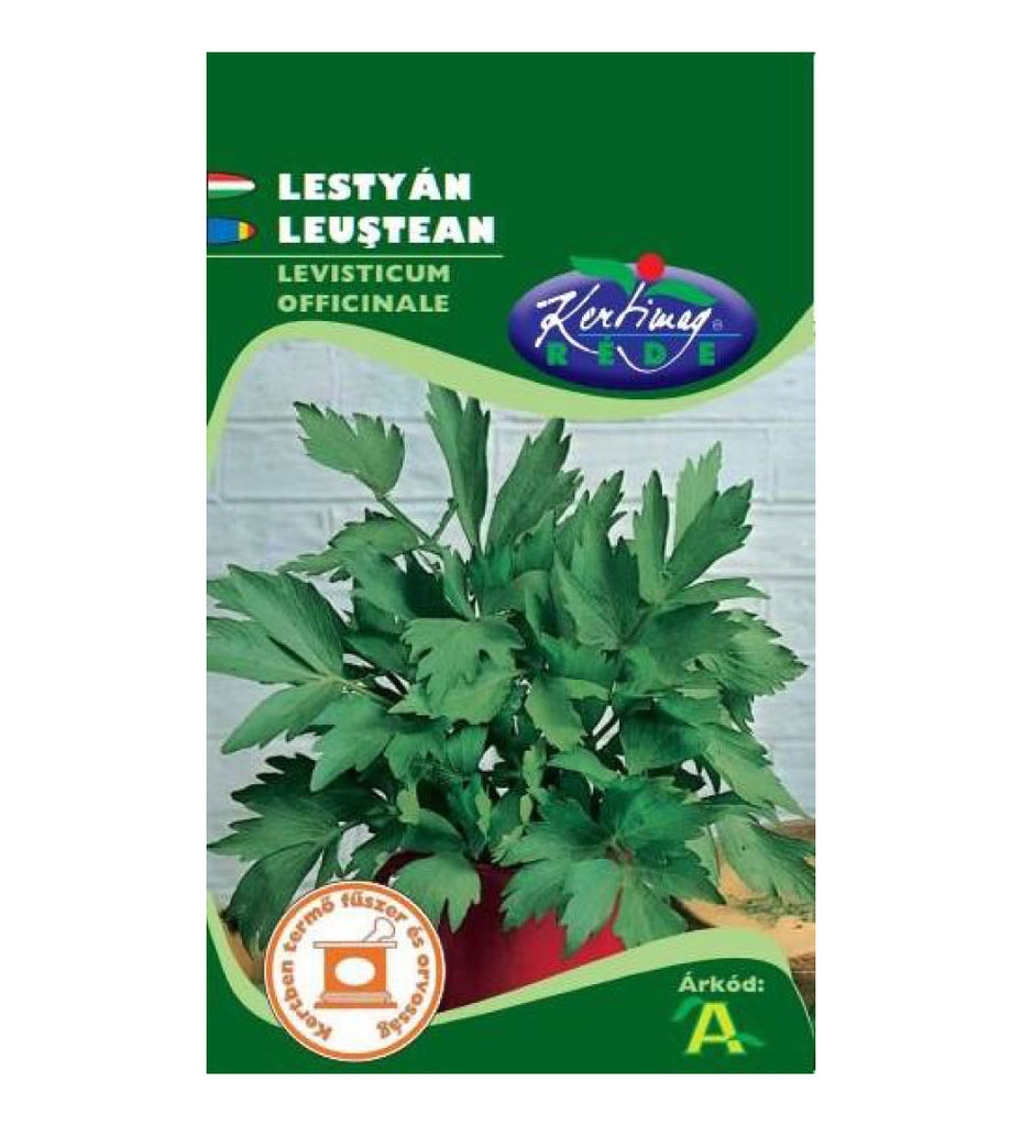 Leuştean / Levisticum sativum