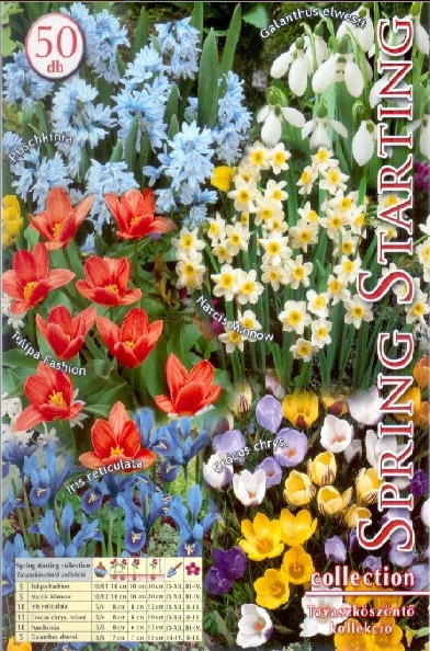 Colecție Spring Starting (Întimpinarea primăverii) /50/